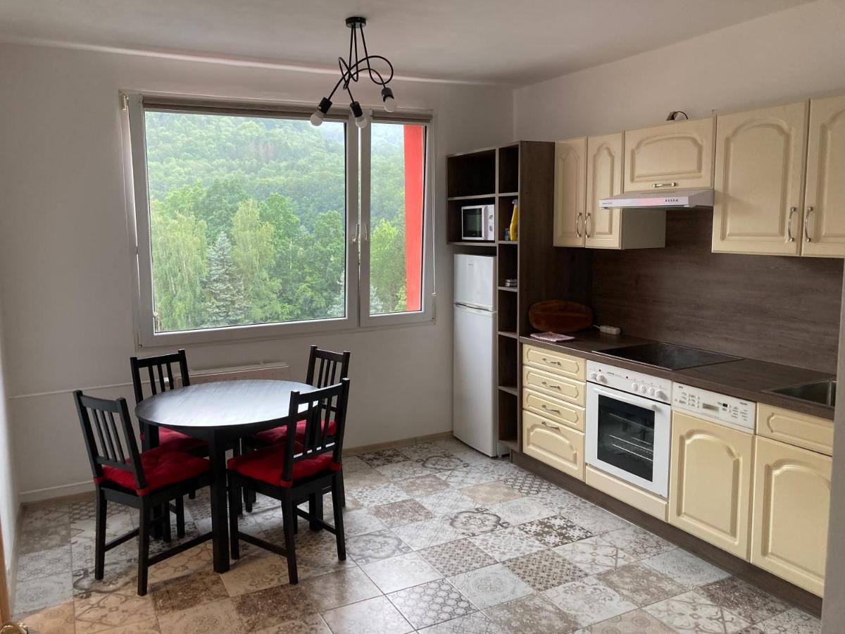 Apartamento U Kosmonauta Decin Exterior foto